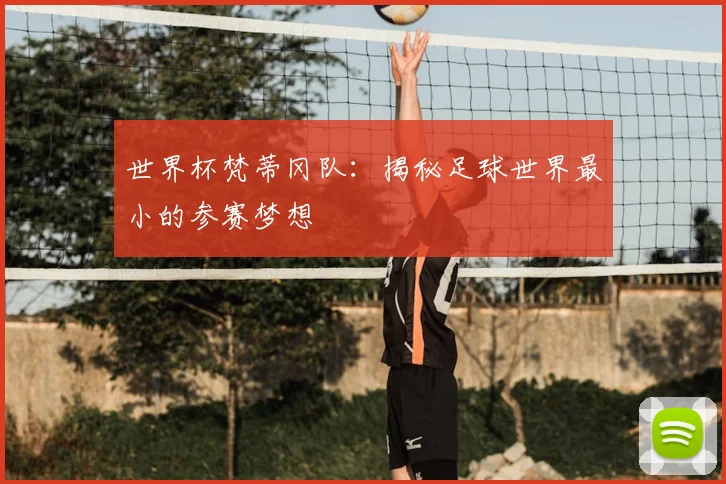 世界杯梵蒂冈队:揭秘足球世界最小的参赛梦想